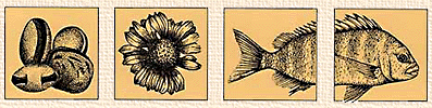 The art of Cathie Katz