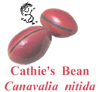 Cathies Bean, Canavalia nitida