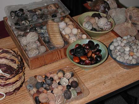 04 Michelle Kelly's Sea-Bean Display