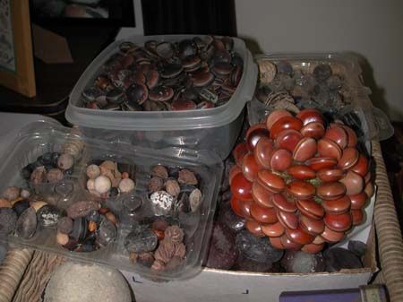 05 Michelle Kelly's Sea-Bean Display