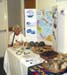 Patty Foreman's Sea Bean Fever Exhibit