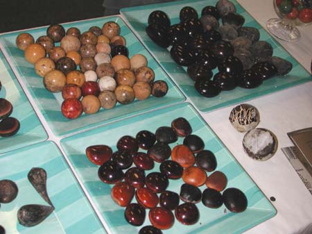 40 Bill Blazek's polished seeds