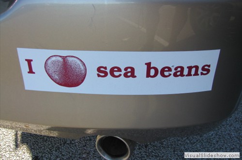 I "Heart" Sea Beans
