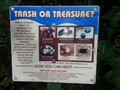 Trash Or Treasure