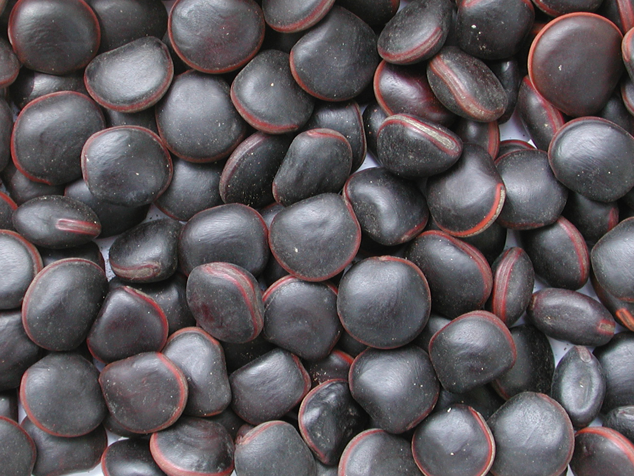 Spoopy beans