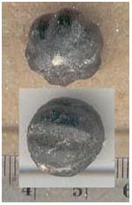 Maybe this is the same as D but in a different color, but maybe not.  It is about the right size for Hernandia but it almost certainly is not because it is bumpy not round.