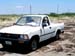 Galveston_Beachcombing_Buggy_Yow