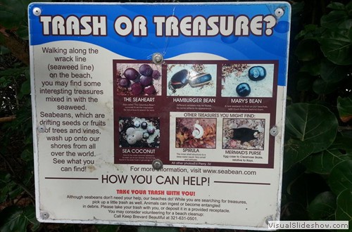 Trash Or Treasure